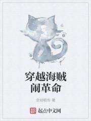 穿越海贼的系统大全
