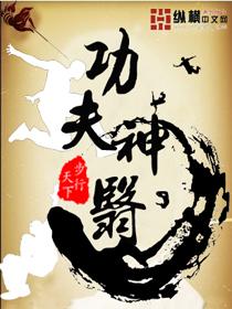 功夫神医在都市 林丹 林蕾